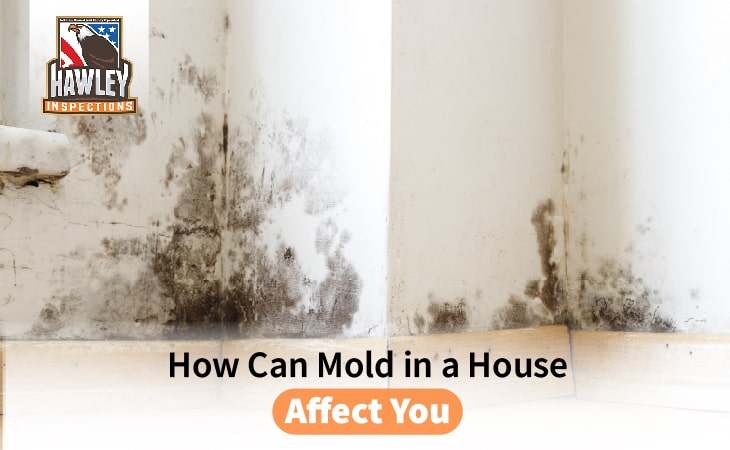 How Can Mold in a House Affect You
